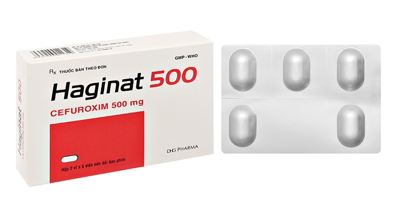 Haginat 500