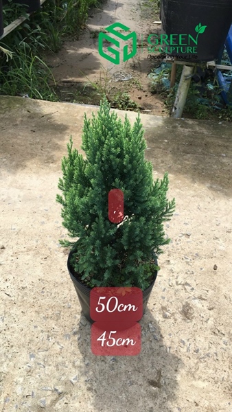 product-image-preview