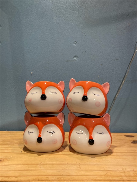 Chậu Sứ Cáo Tròn