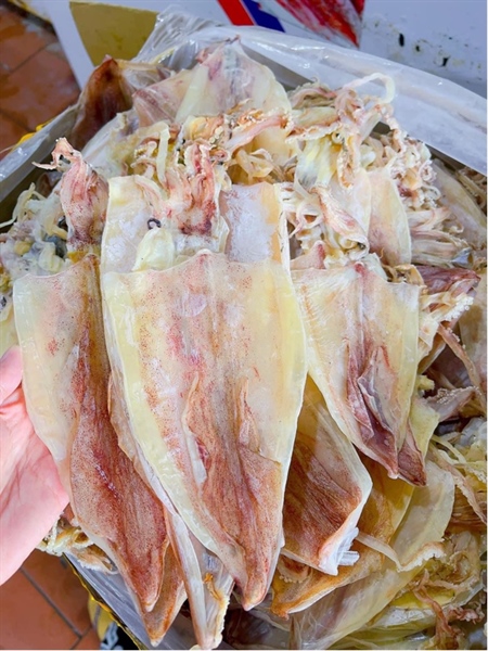 Mực khô câu 25-30c ( mành ) 500gr