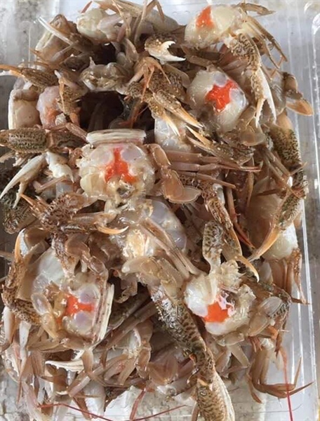 Ghẹ sữa