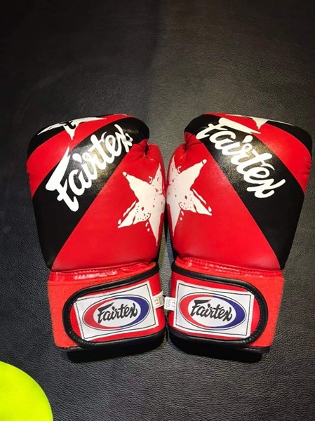 Găng Tay Boxing Faitex PT