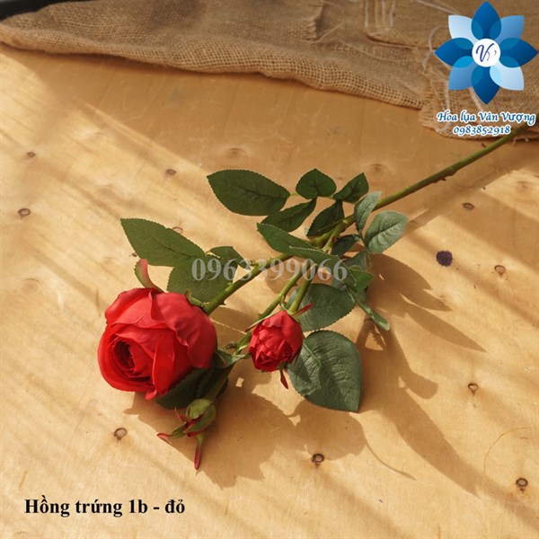 Hồng trứng 1b - đỏ - Hoa cành dài - Hoa Lụa Vân Vượng