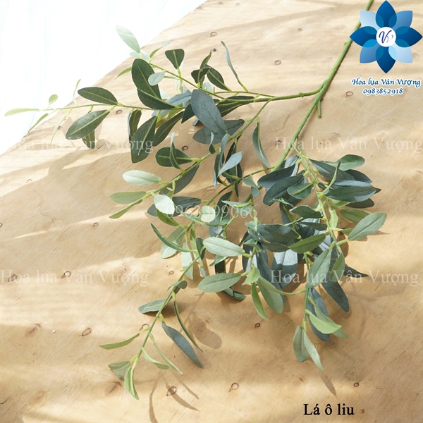 Lá ô liu - Lá cành dài - Hoa Lụa Vân Vượng