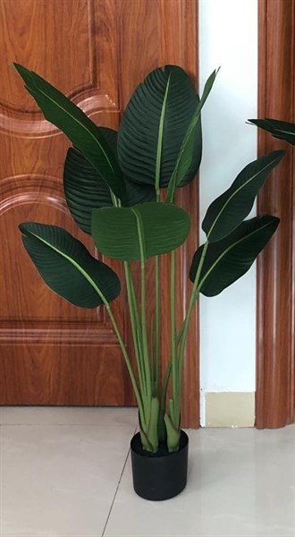 Cây chuối 1,2m 8 lá mờ - Cây - Hoa Lụa Vân Vượng