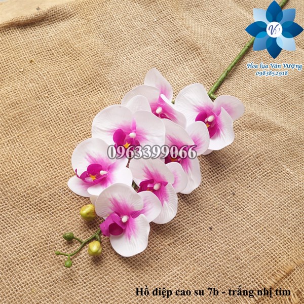 Hồ điệp cao su 7b - trắng nhị tím - Hồ điệp, lan - Hoa Lụa Vân Vượng