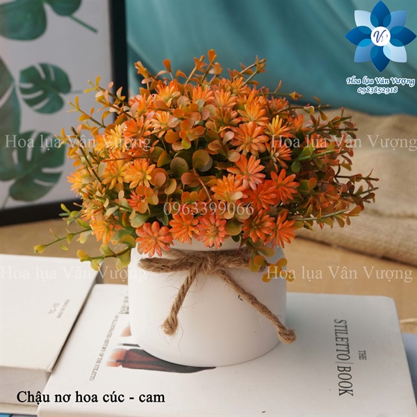 Chậu nơ hoa cúc - Chậu để bàn - Hoa Lụa Vân Vượng