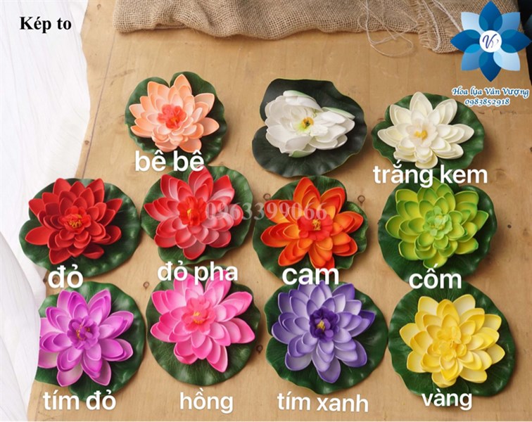 Kép to - Sen - Hoa Lụa Vân Vượng