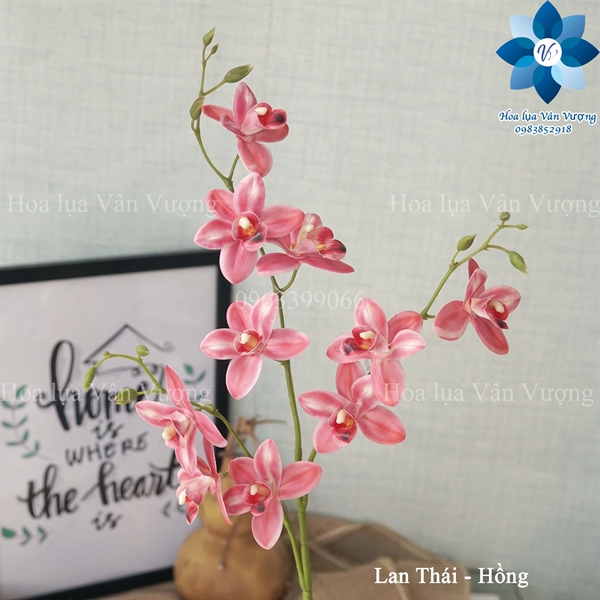 Lan Thái - Hồng - Hồ điệp, lan - Hoa Lụa Vân Vượng