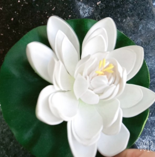 Kép to - trắng - Sen - Hoa Lụa Vân Vượng