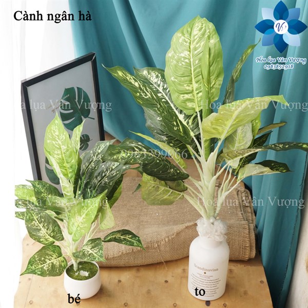 Cành ngân hà to - Lá cành dài - Hoa Lụa Vân Vượng