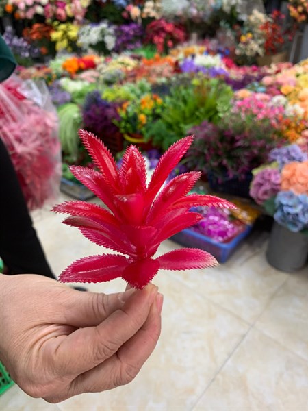Hoa đá bé - Hoa đá - Hoa Lụa Vân Vượng