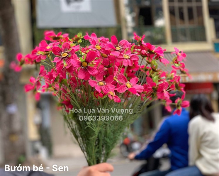 Bướm Bé - Sen - Hoa cành dài - Hoa Lụa Vân Vượng