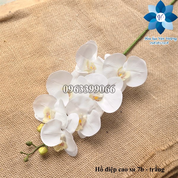 Hồ điệp cao su 7b - Hồ điệp, lan - Hoa Lụa Vân Vượng