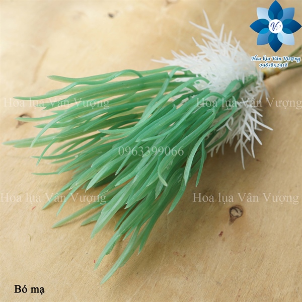 Bó mạ - Lá cành ngắn - Hoa Lụa Vân Vượng