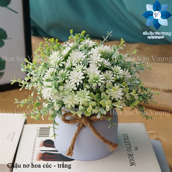 Chậu nơ hoa cúc - Trắng - Chậu để bàn - Hoa Lụa Vân Vượng