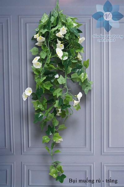 Bụi muống rủ - trắng - Rủ - Hoa Lụa Vân Vượng