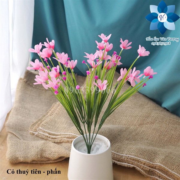 Cỏ thủy tiên - phấn - Hoa cành ngắn - Hoa Lụa Vân Vượng