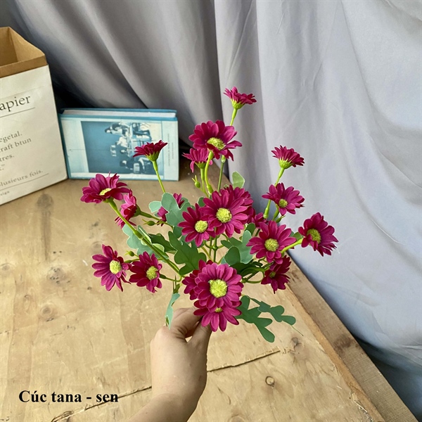 Cúc tana - Sen - Hoa cành ngắn - Hoa Lụa Vân Vượng