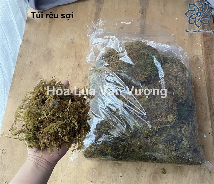 Rêu sợi - Rêu - Hoa Lụa Vân Vượng