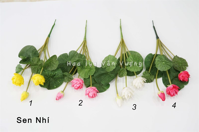 Sen nhí - Sen - Hoa Lụa Vân Vượng