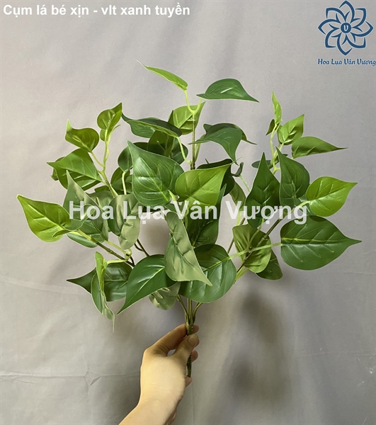 Cụm lá bé xịn - Vlt xanh tuyền - Lá cành ngắn - Hoa Lụa Vân Vượng