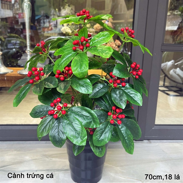 Cành trứng cá - Cây - Hoa Lụa Vân Vượng