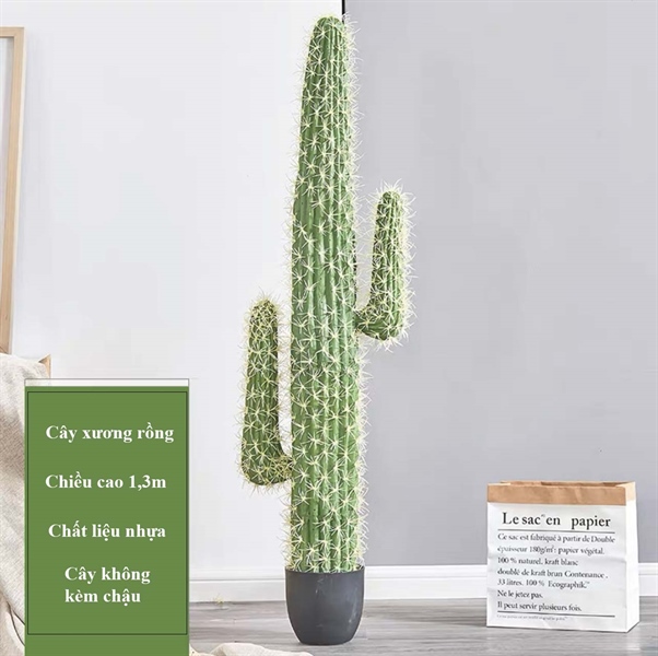 Cây xương rồng 1,3m - Cây - Hoa Lụa Vân Vượng