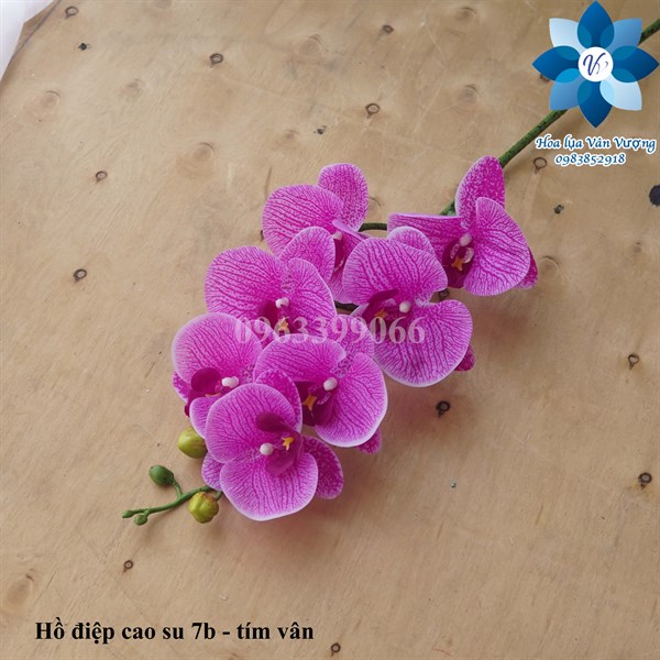 Hồ điệp cao su 7b - tím vân - Hồ điệp, lan - Hoa Lụa Vân Vượng