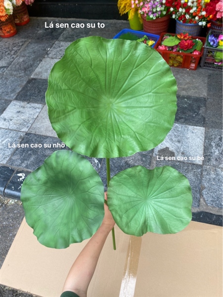 Lá sen cao su to - Sen - Hoa Lụa Vân Vượng