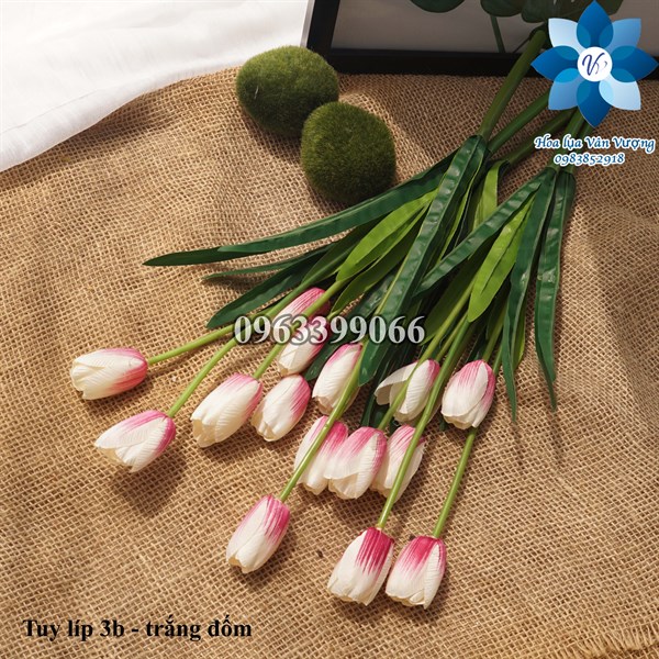 Tuy líp 3b - Trắng đốm - Hoa cành dài - Hoa Lụa Vân Vượng