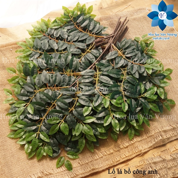 Lố lá bồ công anh - Lố lá và lố hoa - Hoa Lụa Vân Vượng