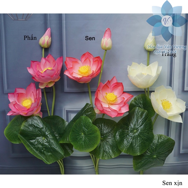 Sen xịn - Sen - Hoa Lụa Vân Vượng