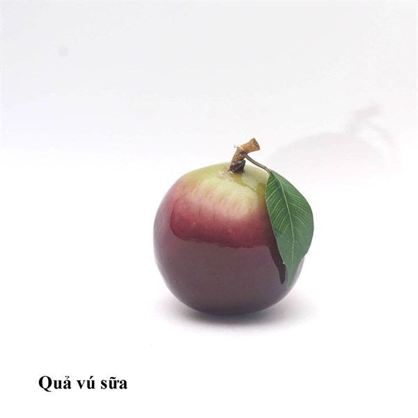 Vú sữa - Quả và dây quả - Hoa Lụa Vân Vượng