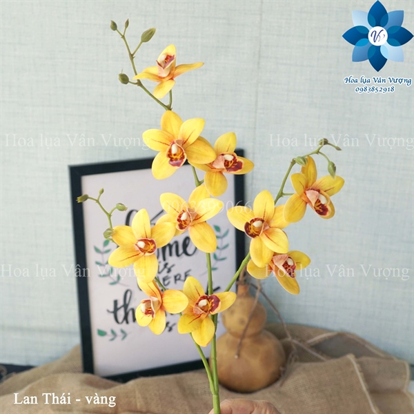 Lan Thái - Vàng - Hồ điệp, lan - Hoa Lụa Vân Vượng