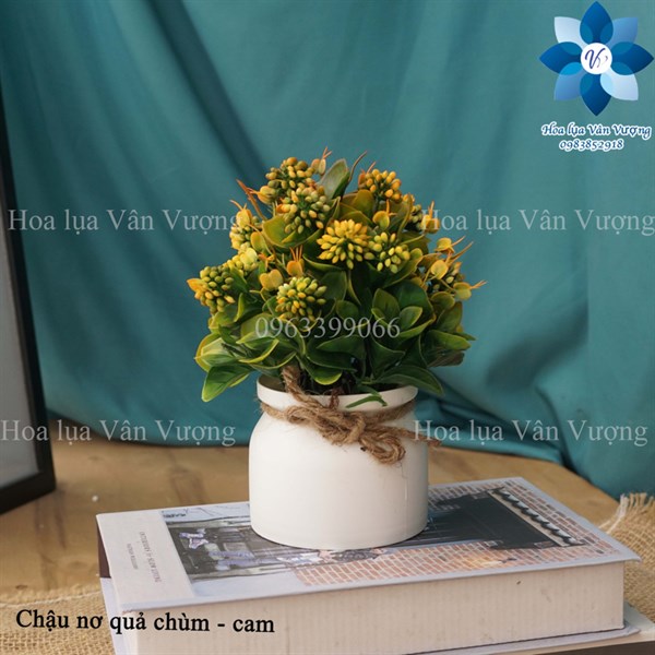 Chậu nơ quả chùm - Cam - Chậu để bàn - Hoa Lụa Vân Vượng