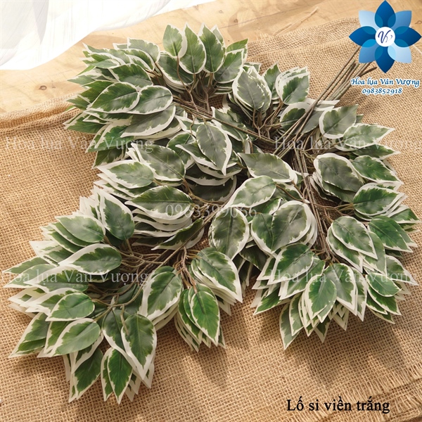 Lố si viền trắng - Lố lá và lố hoa - Hoa Lụa Vân Vượng