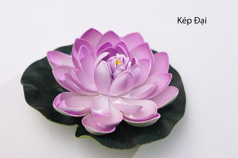 Kép to - tím xanh - Sen - Hoa Lụa Vân Vượng