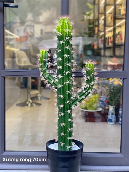 Xương rồng 70cm - Cây - Hoa Lụa Vân Vượng