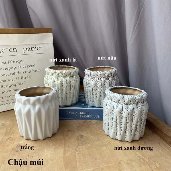 Chậu múi - Lọ hoa - Hoa Lụa Vân Vượng