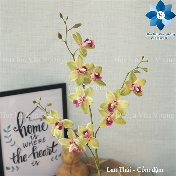 Lan Thái - Cốm đậm - Hồ điệp, lan - Hoa Lụa Vân Vượng