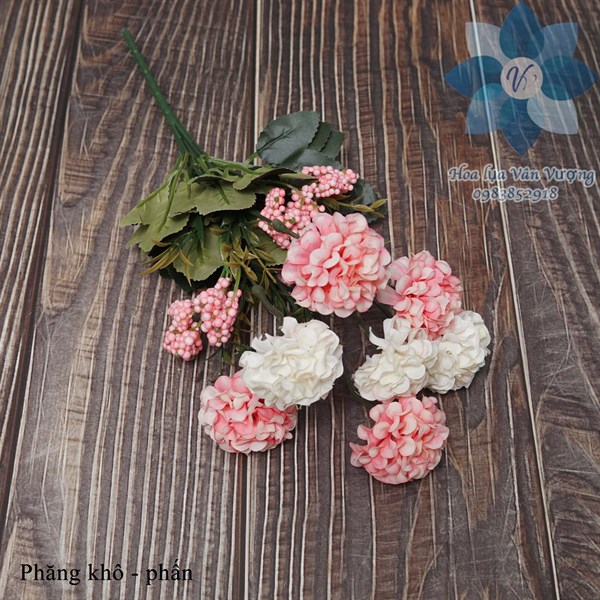 Phăng khô - Hoa cành ngắn - Hoa Lụa Vân Vượng