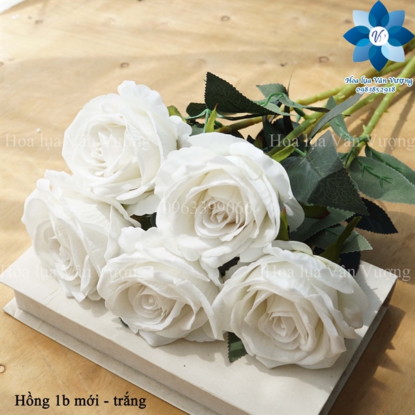 Hồng 1b mới - trắng - Hoa cành dài - Hoa Lụa Vân Vượng
