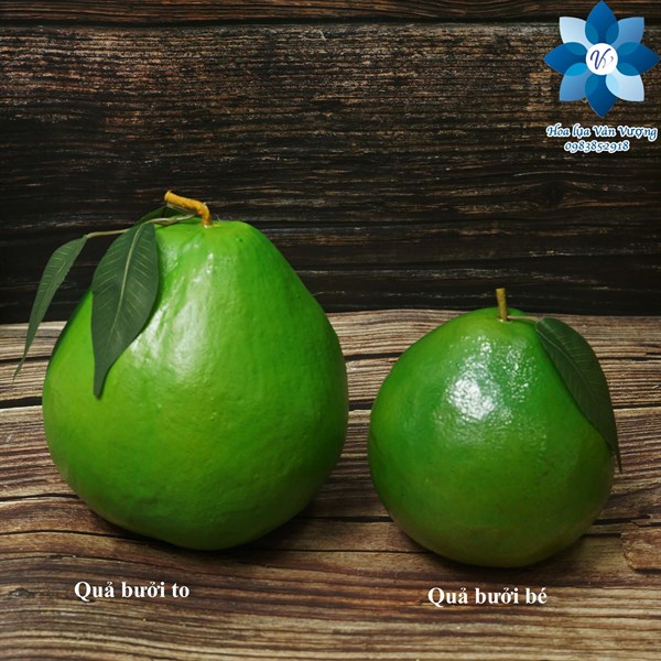 Quả bưởi to - Quả và dây quả - Hoa Lụa Vân Vượng