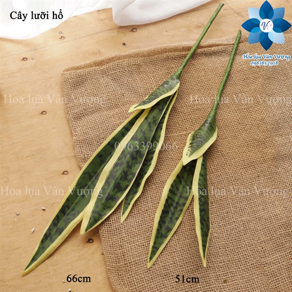 Cây lưỡi hổ 51cm - Cây - Hoa Lụa Vân Vượng