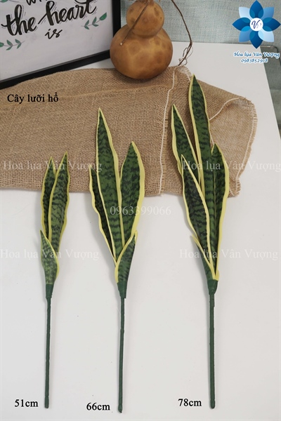 Cây lưỡi hổ 78cm - Cây - Hoa Lụa Vân Vượng