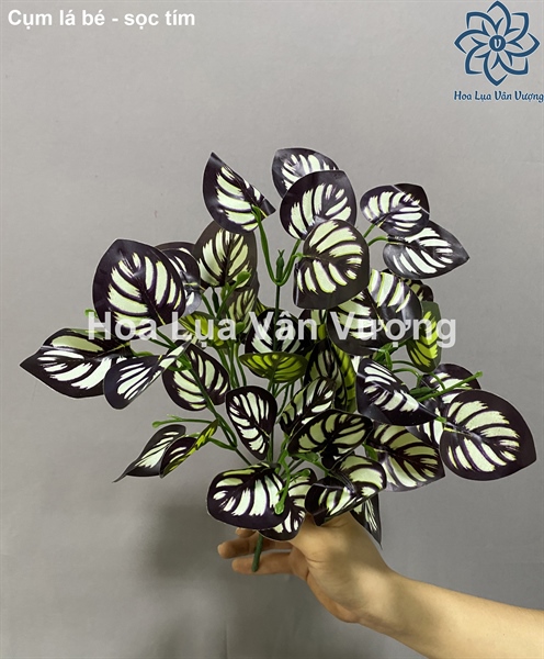 Cụm lá bé - sọc tím - Lá cành ngắn - Hoa Lụa Vân Vượng