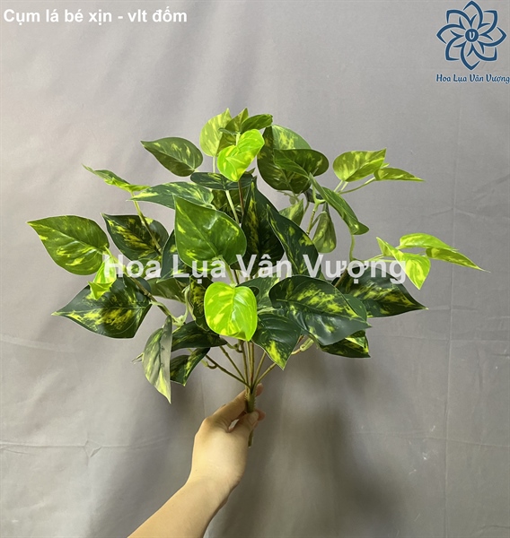 Cụm lá bé xịn - vạn liên thanh đốm - Lá cành ngắn - Hoa Lụa Vân Vượng