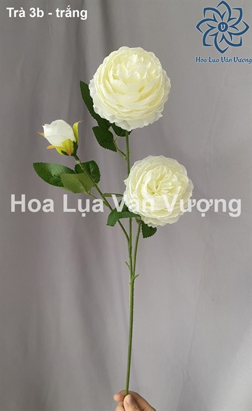 Trà 3b - Hoa cành ngắn - Hoa Lụa Vân Vượng