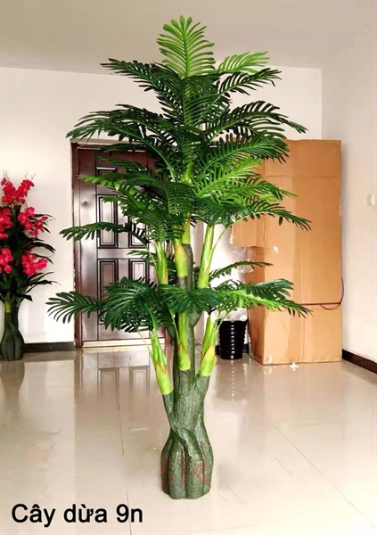 Cây dừa 9n - Cây - Hoa Lụa Vân Vượng